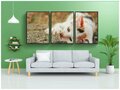 Набор модулных постеров для интерьера "Кошка, домашний питомец, животное" 60x90 см. в тубусе, без рамки