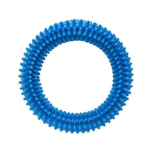 Игрушка Сириус для собак, кольцо с шипами, голубой, 155 мм