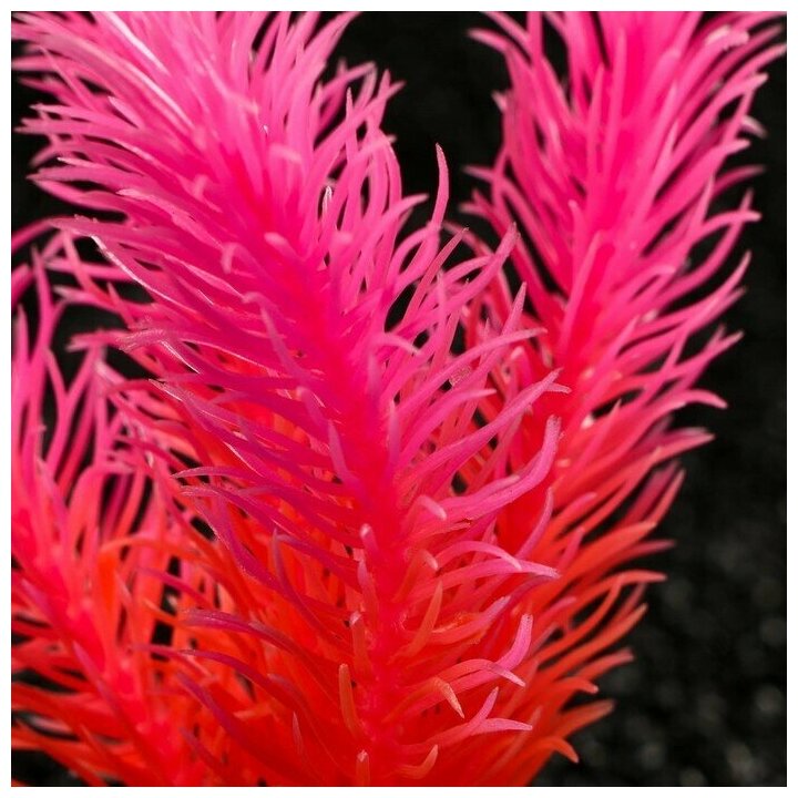 Растение искусственное аквариумное, светящееся, 10 см, красное - фотография № 2