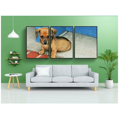 фото Набор модулных постеров для интерьера "собака, щенок, колбаса" 60x90 см. в тубусе, без рамки lotsprints