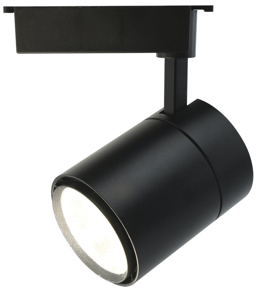 Светильник потолочный Arte Lamp A5750PL-1BK