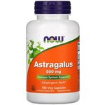 Astragalus - изображение