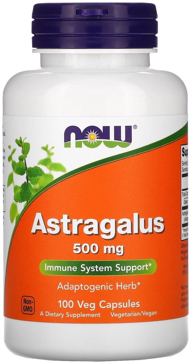 Astragalus