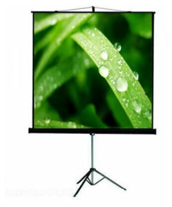 Экран ViewScreen Clamp Pro (4:3) 171*128 (165*122) MW
