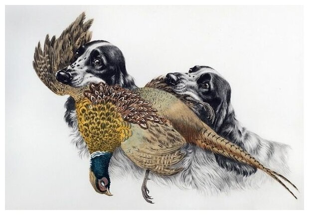 Репродукция на холсте Собаки и охотничьи трофеи (Dogs and hunting trophies) Данчин Леон 44см. x 30см.