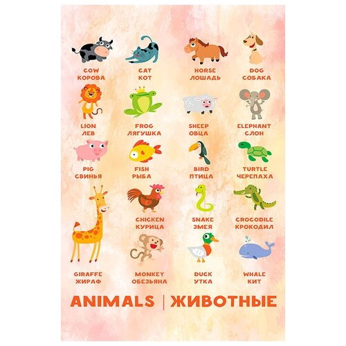 Плакат Квинг Животные II — плакат на английском языке, с переводом 457×610 мм ≈ (А2) плакат животные россии 555х774