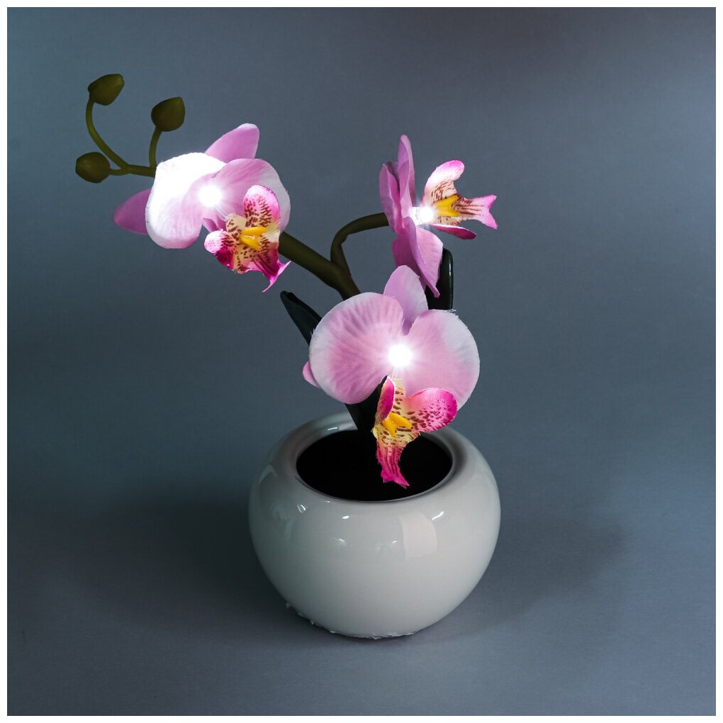 Светильник в виде орхидей в керамическом горшке, розовый, LADECOR - фотография № 3