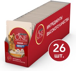 Влажный корм для собак Purina ONE Мини Взрослая, курица с морковью и зеленой фасолью в подливе 26 шт. х 85 г (для мелких пород)