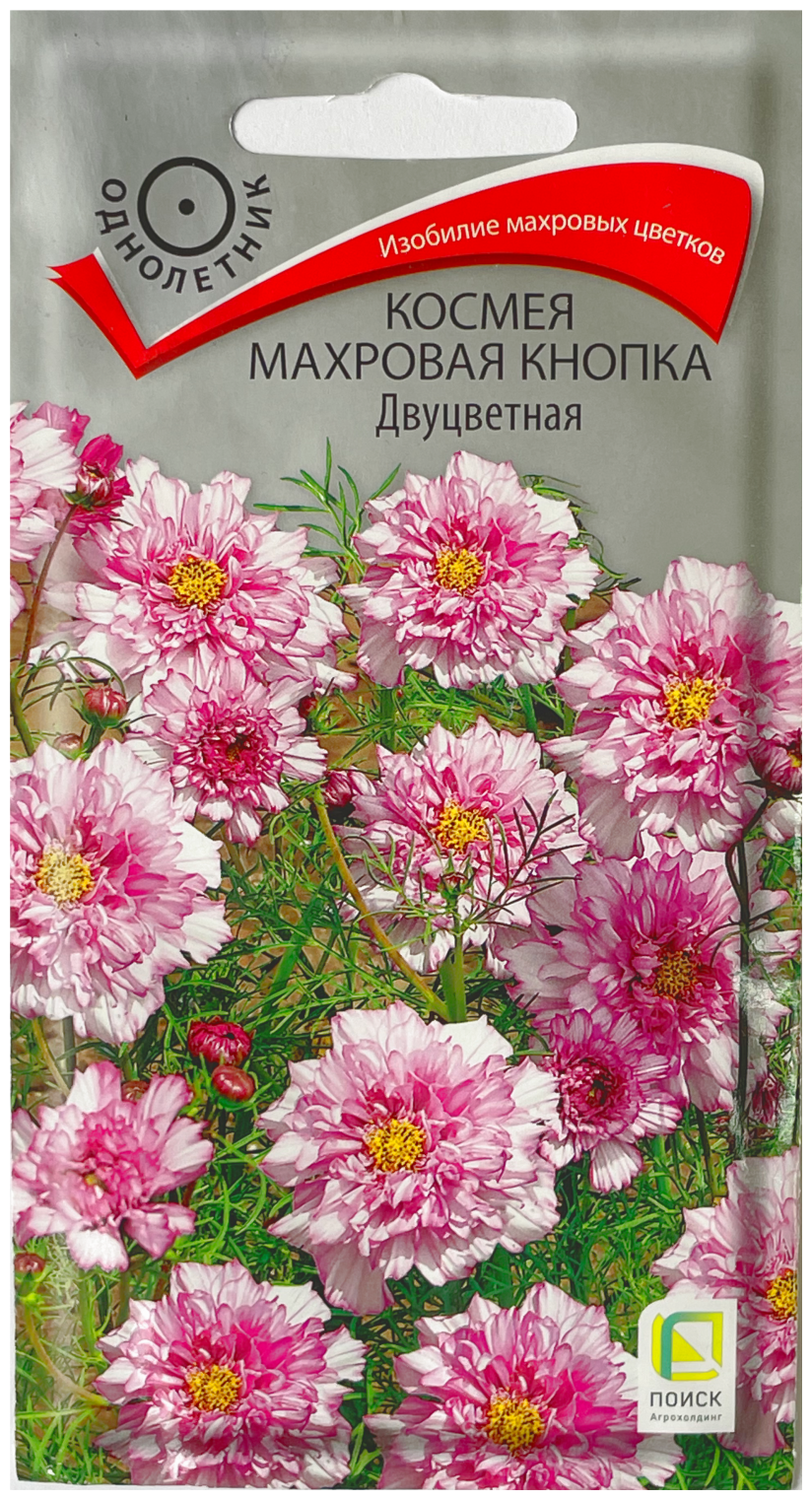 Семена космея Махровая кнопка двуцветная 01 гр.