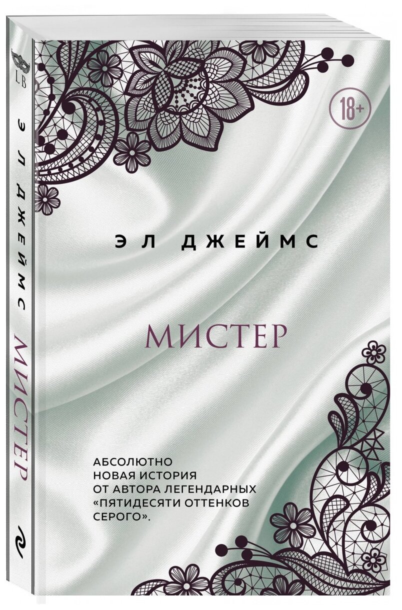 Мистер (Эрика Л. Джеймс) - фото №1