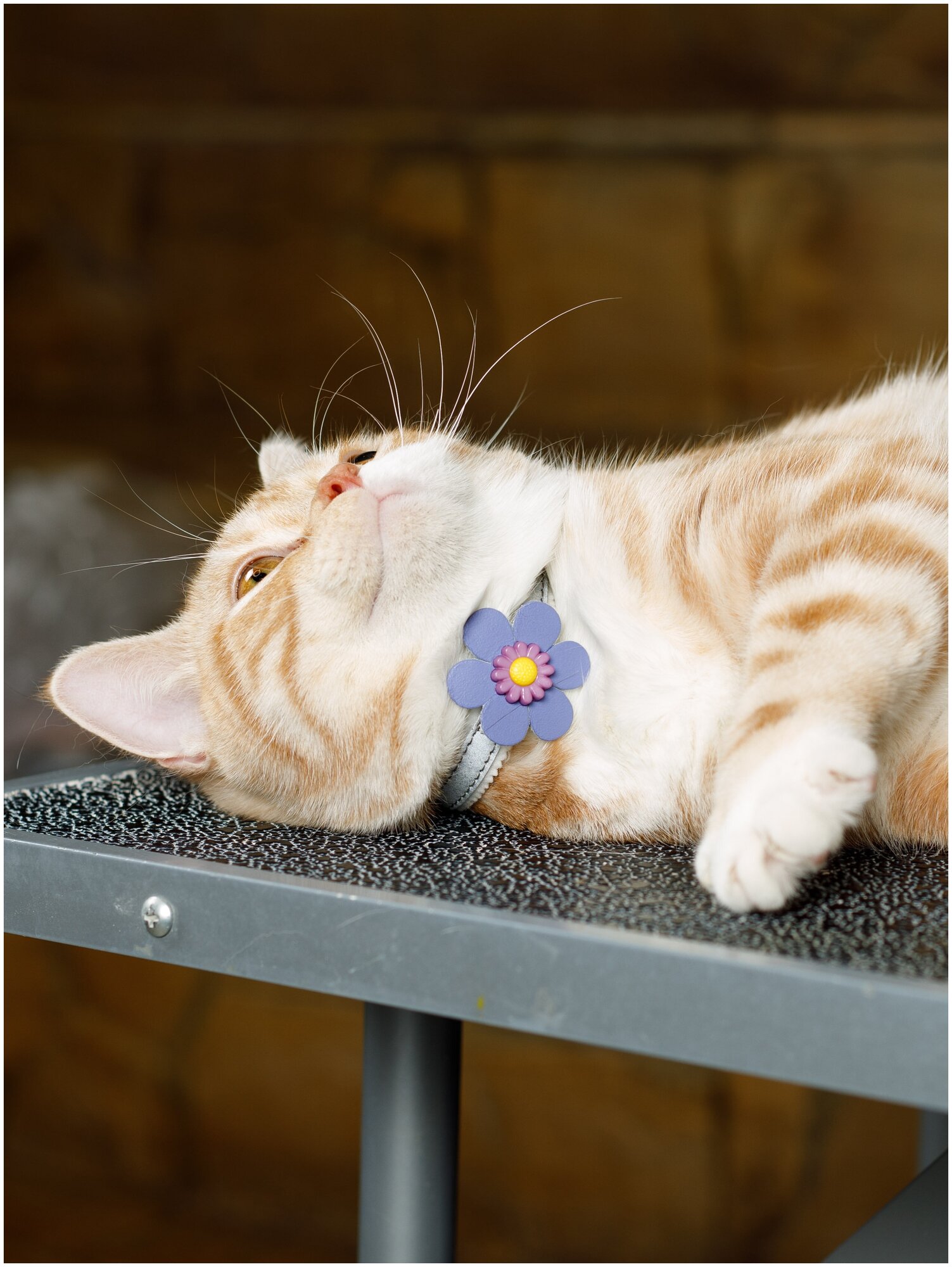 Безопасный мягкий ошейник Japan Premium Pet "Вот и Лето Пришло" с системой защиты от удушения с фиолетовым цветком, размер S - фотография № 5