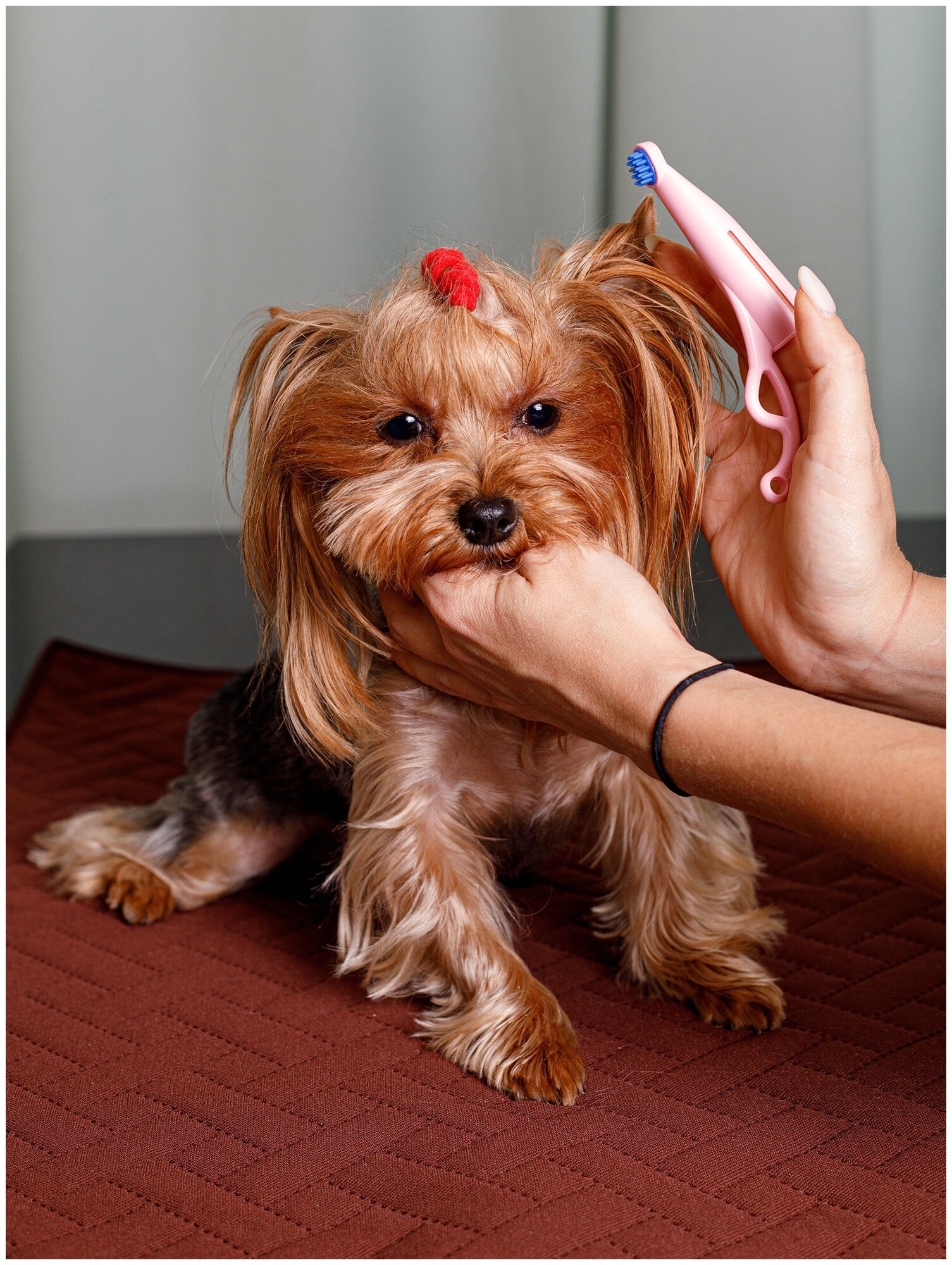 Japan Premium Pet Зубная щетка анатомическая силиконовая для мелких собак и кошек - фотография № 7