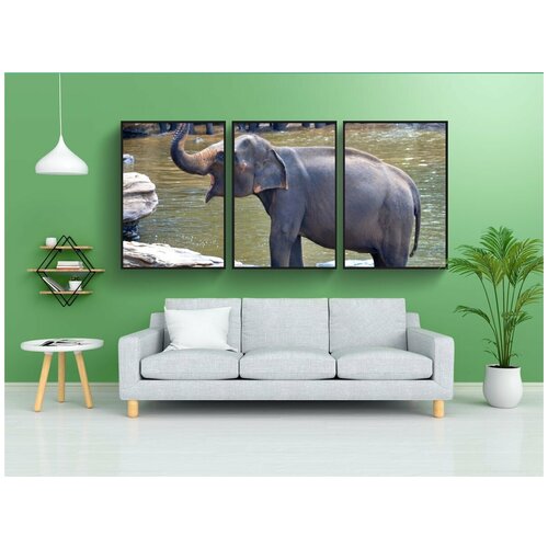 фото Набор модулных постеров для интерьера "слоновья ванна, слон, беременная слониха" 60x90 см. в тубусе, без рамки lotsprints