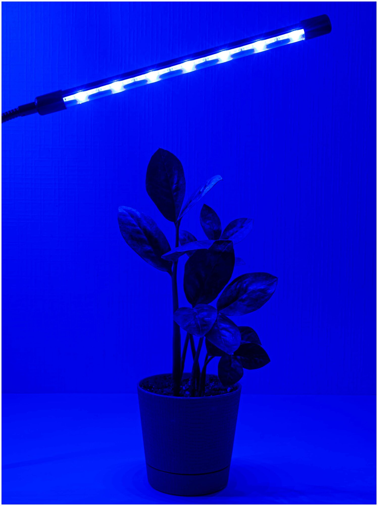 Фитолампа для растений светодиодная полного спектра. Фитолампа для рассады. Светильник лампа LED на прищепке с таймером, 2 лампы - фотография № 6