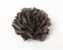 Темно-коричневая роза заколка-брошь в виде цветка 180021