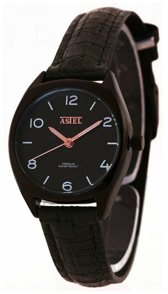 Наручные часы ASTEL AST178BB02 