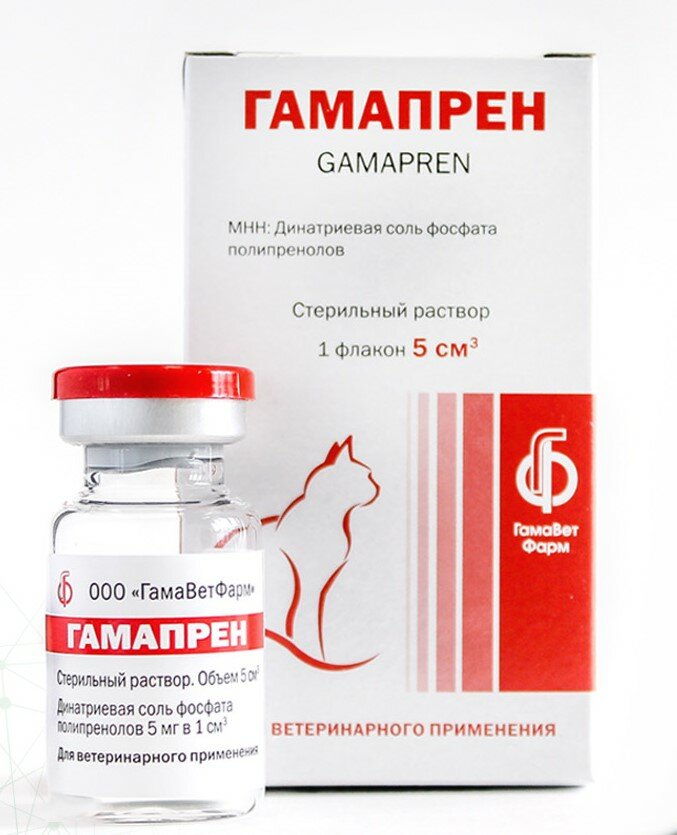 Изображение Гамапрен 0,5 % препарат для кошек для лечения герпесвирусной инфекции и калицивироза 5 мл раствор для инъекций (1 шт)