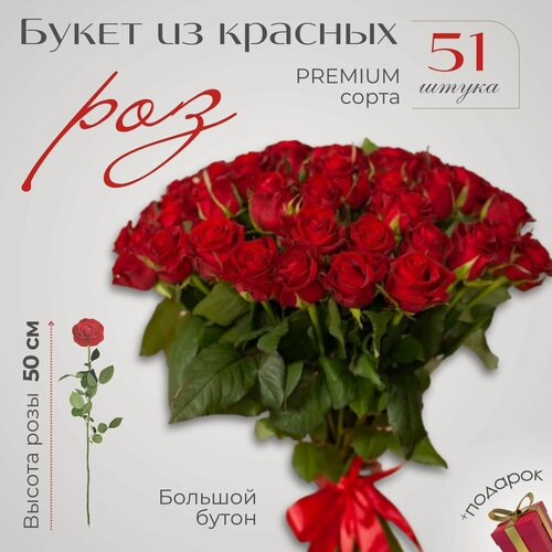 Изображение товара Букет 51 красная роза, 60 см