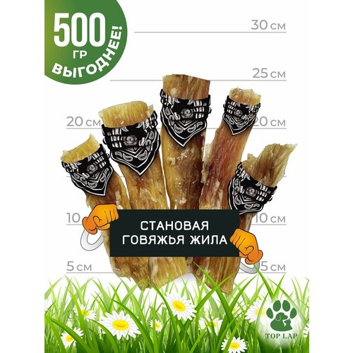 Становая жила говяжья 500 г