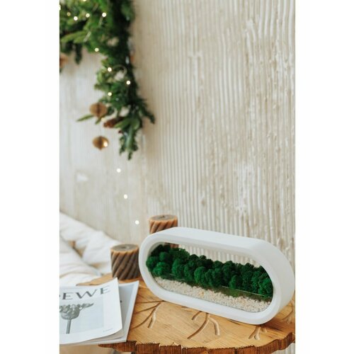 Ваза гипсовая со мхом