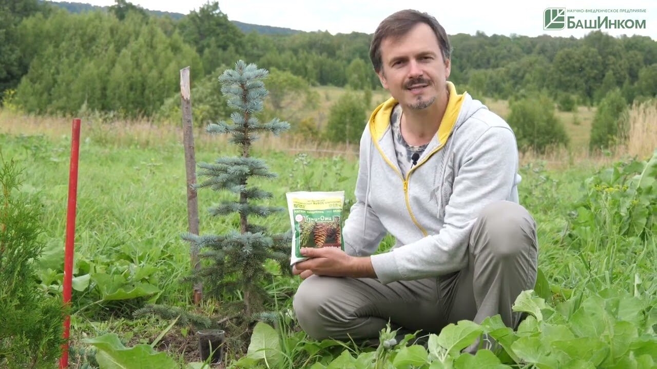 Удобрение для хвойных Гуми Оми ОЖЗ Кузнецова 0 5 кг