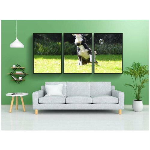 фото Набор модулных постеров для интерьера "мыльные пузыри, собака, игривый" 60x90 см. в тубусе, без рамки lotsprints