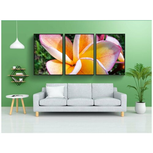 фото Набор модулных постеров для интерьера "цвести, цветок, розовый" 60x90 см. в тубусе, без рамки lotsprints