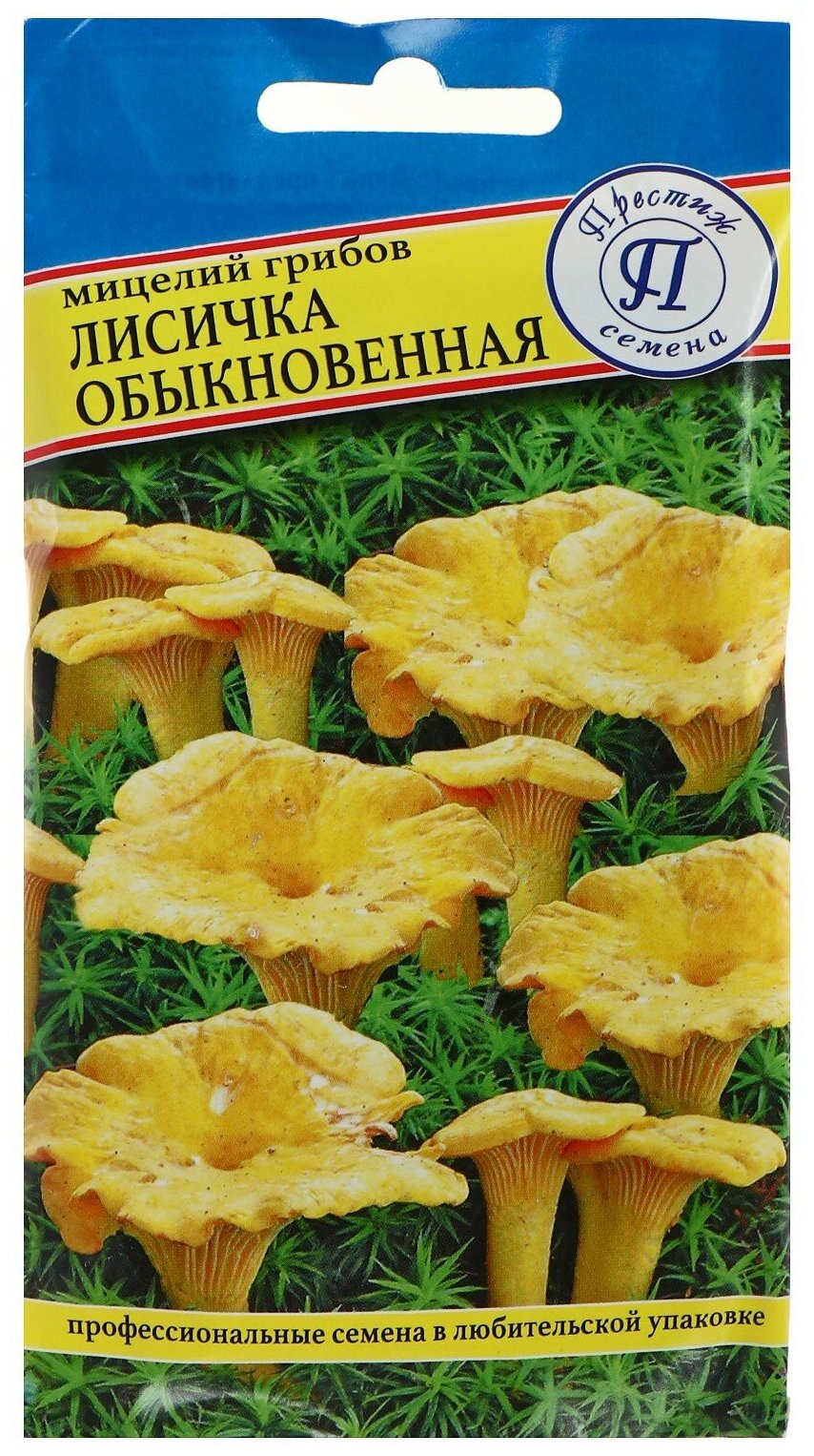 Мицелий грибов Престиж Семена Лисичка обыкновенная 50 мл