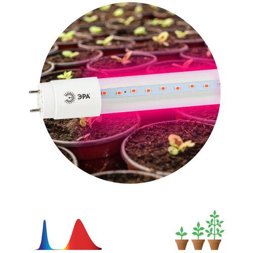 комплект 5 штук фитосветильник лампа красно син спектра эра fito 9w rb т8 g13 nl б0042986 Фитолампа для растений светодиодная ЭРА FITO-18W-RB-Т8-G13-NL красно-синего спектра 18 Вт Т8 G13