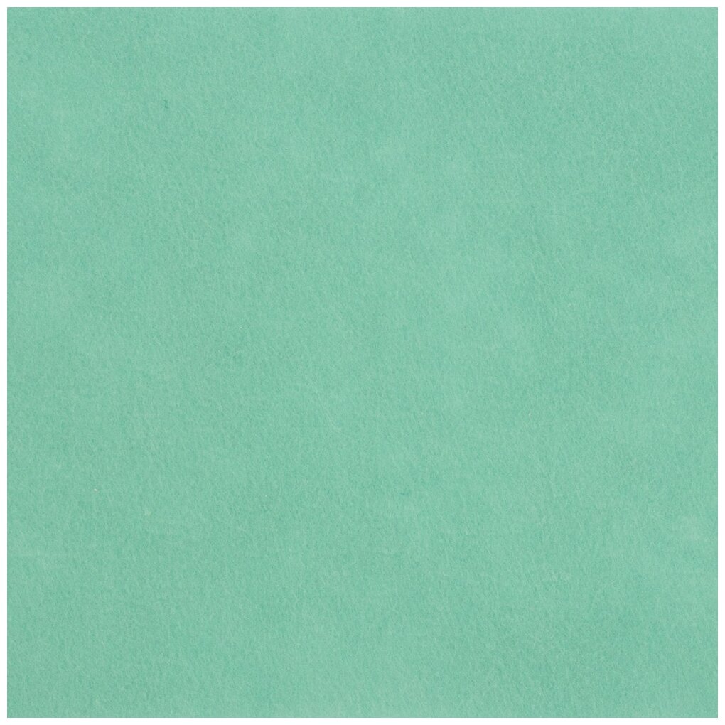 фото BLITZ Фетр декоративный 20х30 см FKC10-20/30 5 шт.