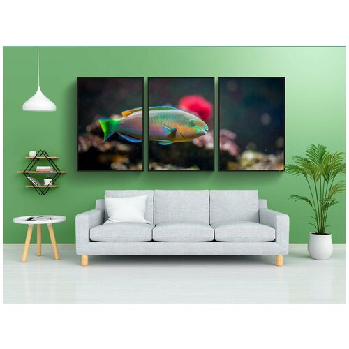 фото Набор модулных постеров для интерьера "рыба, аквариум, природа" 60x90 см. в тубусе, без рамки lotsprints