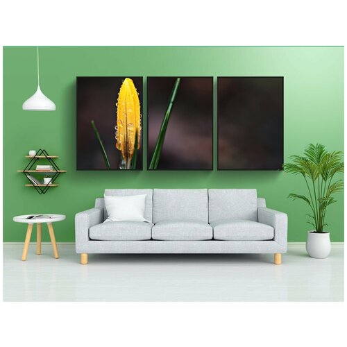 фото Набор модулных постеров для интерьера "крокус, цветок, капля дождя" 60x90 см. в тубусе, без рамки lotsprints