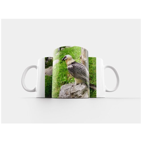 фото Кружка "гриф, дикое животное, птица" 320 мл lotsprints