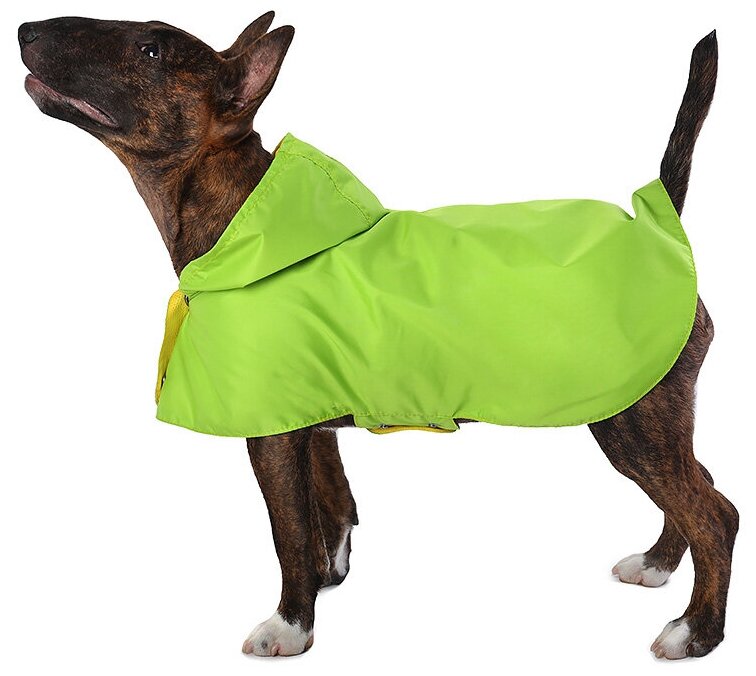 Дождевик для собак Монморанси "Стиль", зеленый, размер М, длина спины 26 см.