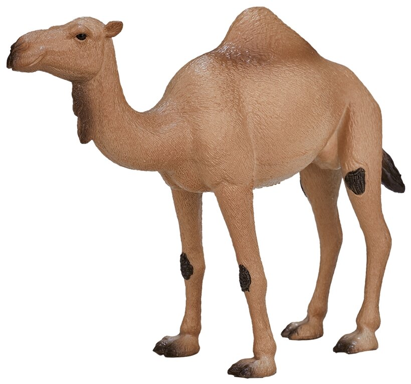 Фигурка Mojo Animal Planet Одногорбый верблюд XL 387113