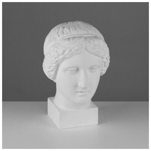 Гипсовая фигура Голова Музы, 20,5 х 23,5 х 34 см гипсовая фигура голова цезаря