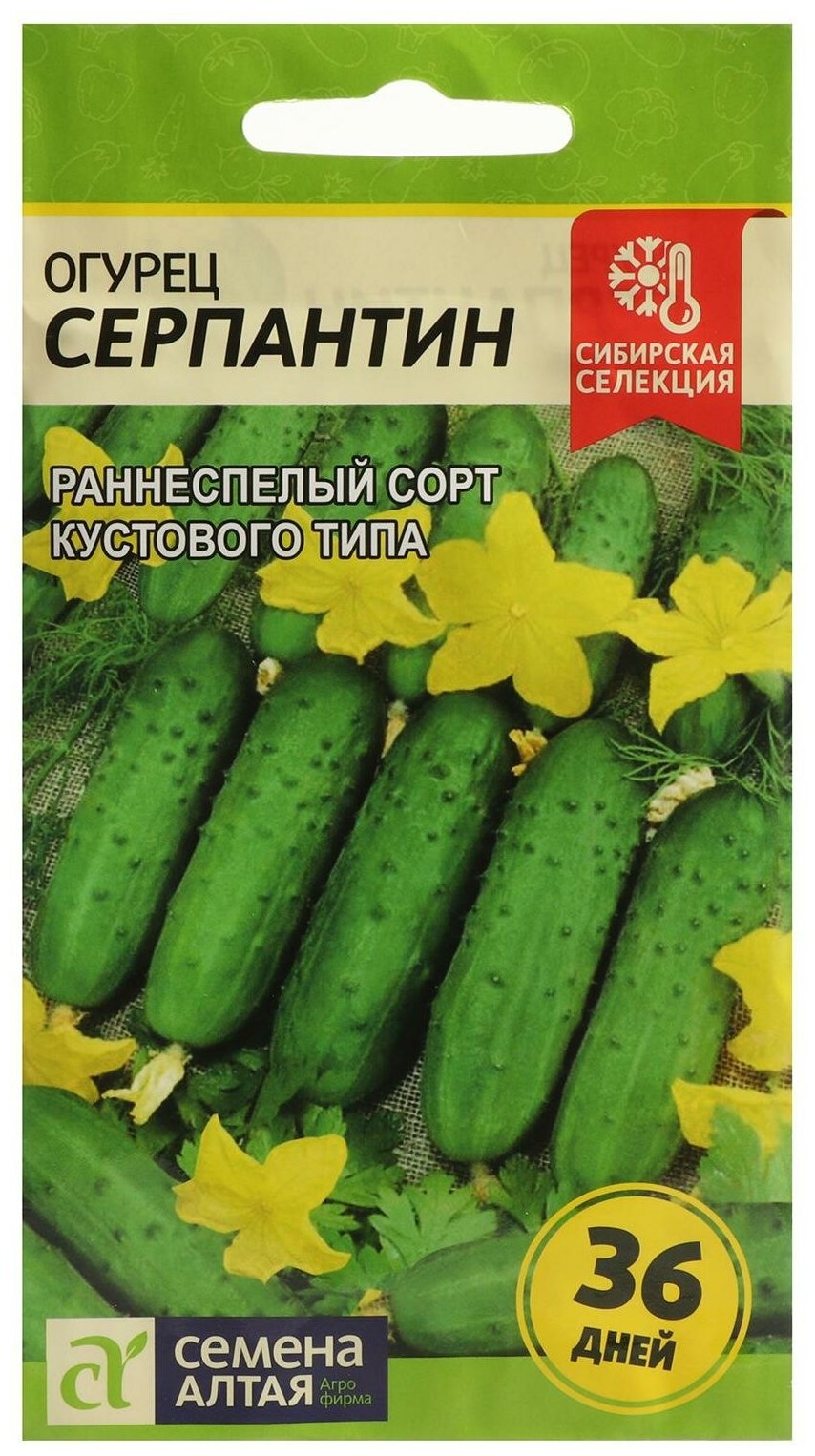 Семена Огурец 