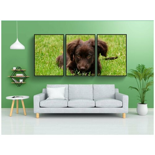 фото Набор модулных постеров для интерьера "животное, собака, домашнее животное" 60x90 см. в тубусе, без рамки lotsprints