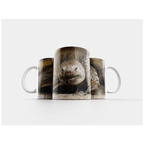 фото Кружка "черепаха, животные, зоопарк" 320 мл lotsprints