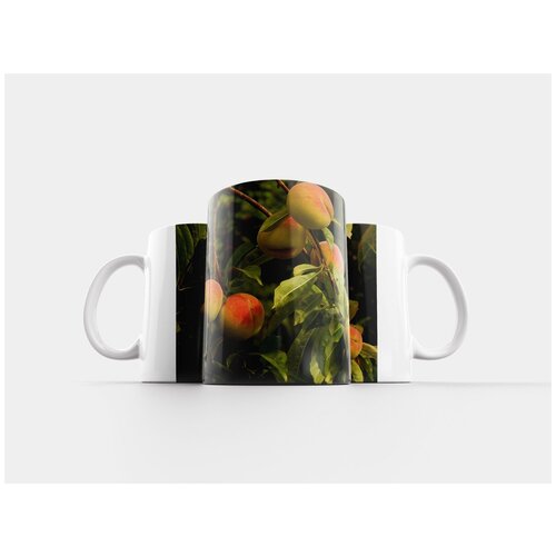 фото Кружка "лампион цветок, физалис алкекенги, декоративное растение" 320 мл lotsprints