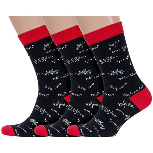 Комплект из 3 пар мужских носков Красная ветка с-2021, черные, размер 29