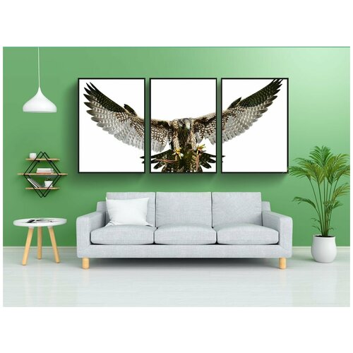 фото Набор модулных постеров для интерьера "сокол, подход, добыча" 60x90 см. в тубусе, без рамки lotsprints