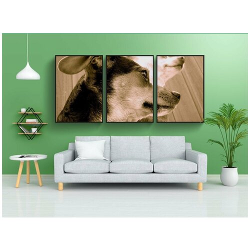 фото Набор модулных постеров для интерьера "собаки, животные, одомашненный" 60x90 см. в тубусе, без рамки lotsprints