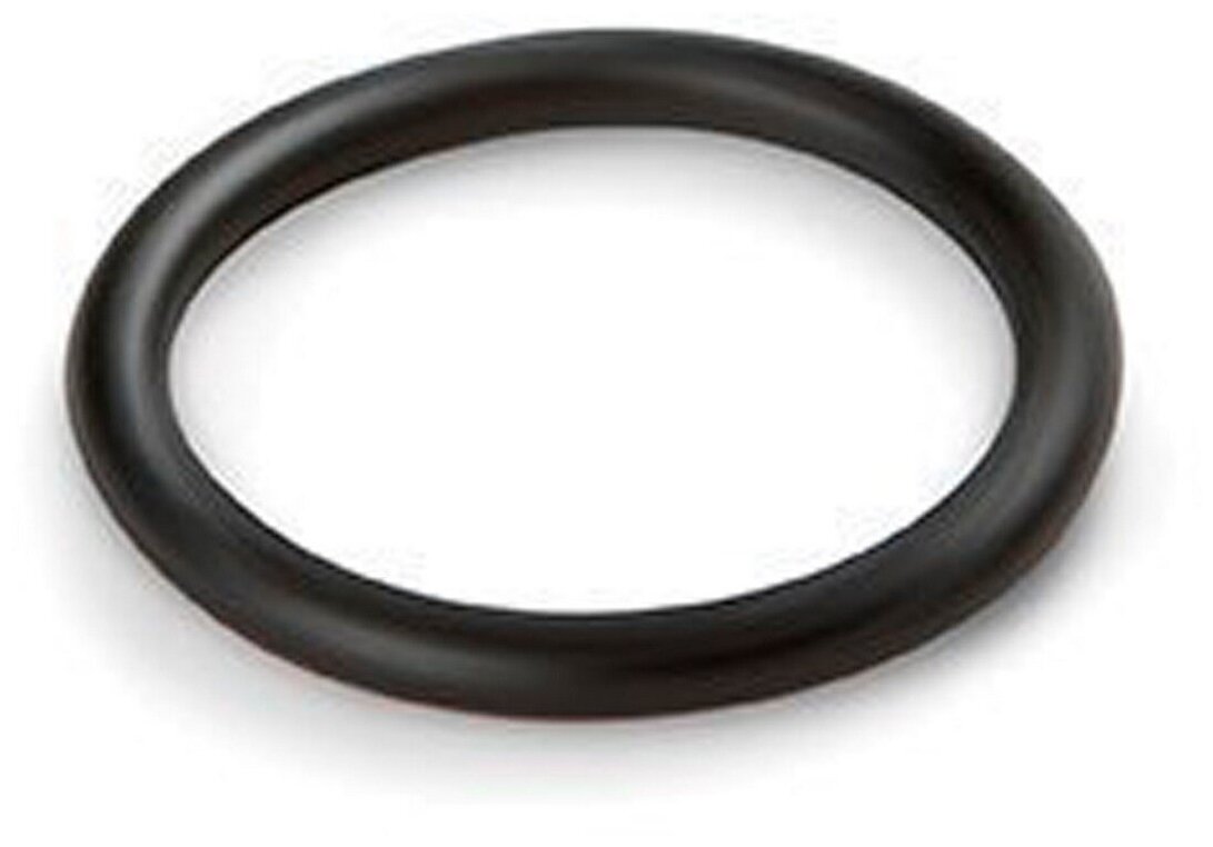 10134 Уплотнительное кольцо для фильтр-насоса