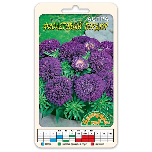 Цветы Астра Бордюр Фиолетовый (Семена Цветущий сад 0,2 г) астра бордюр розовый семена цветы