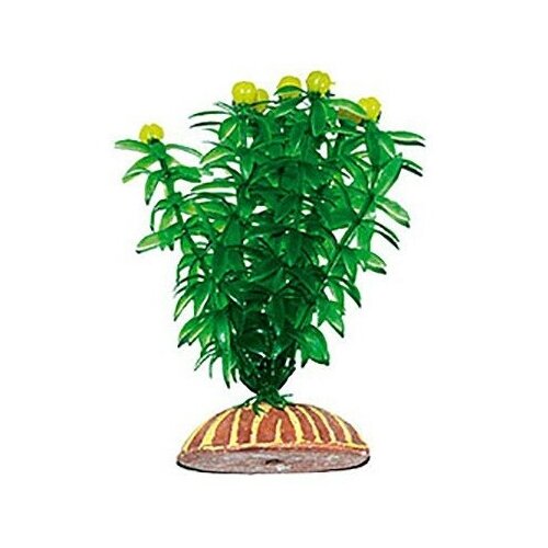 Растение - Тритон пластик 13см