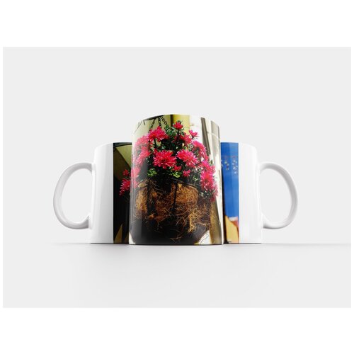 фото Кружка "цветочный горшок, красные цветы, природа" 320 мл lotsprints