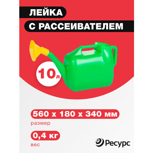 Лейка садовая 10л с рассеивателем лейка садовая пластиковая с насадкой 10л