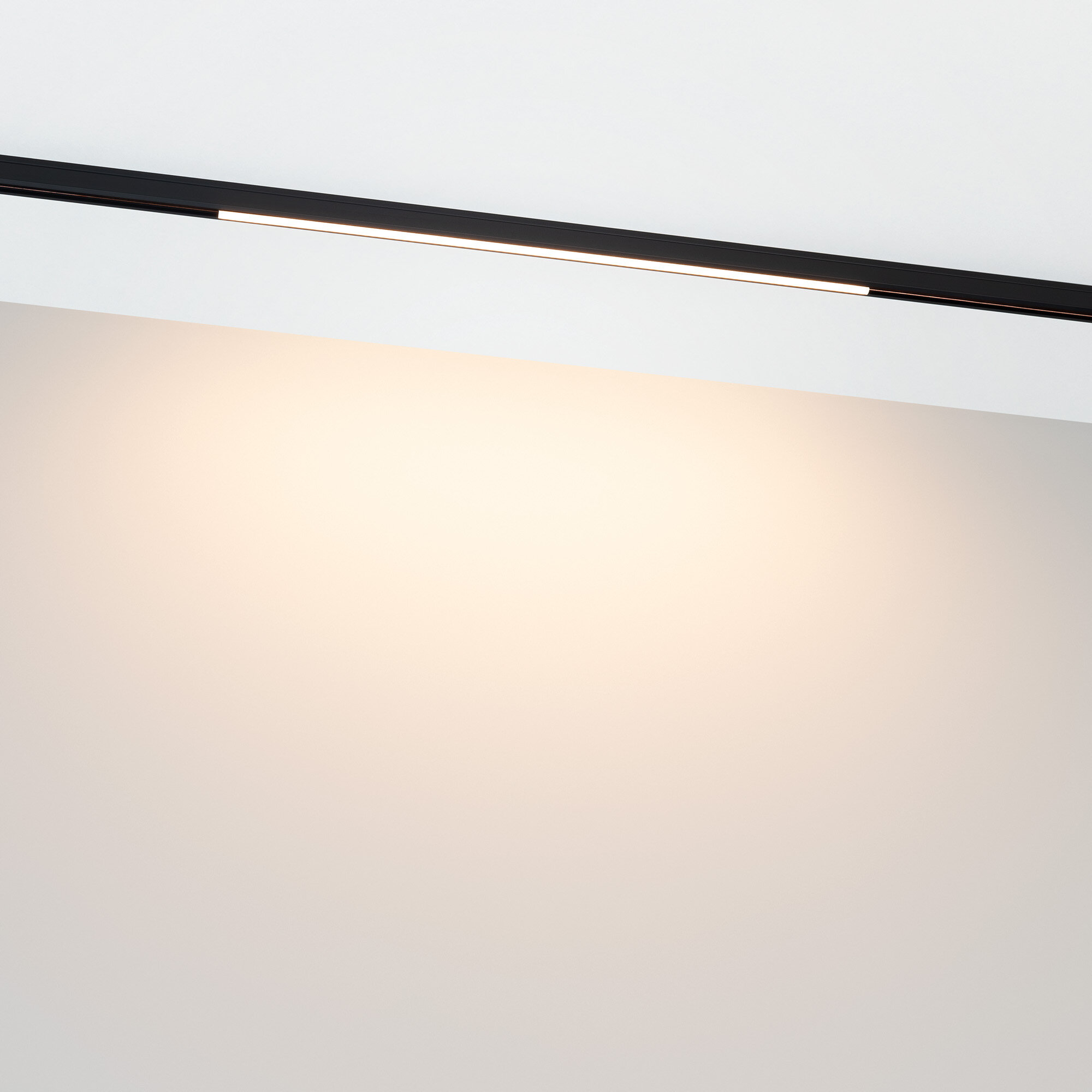 Светильник MAG-MICROCOSM-STRIP-L300-5W Warm3000 (BK, 100 deg, 24V) (Arlight, IP20 Металл, 3 года) 043265 — фото 1