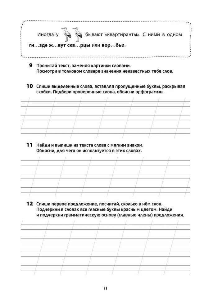 Логоментальные прописи и тренажеры для начальной школы. Птицы - фото №10